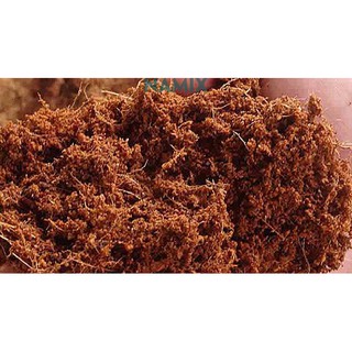Sơ dừa qua xử lý ủ tricodema 500g