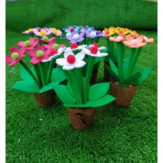 Chậu hoa mini để bàn