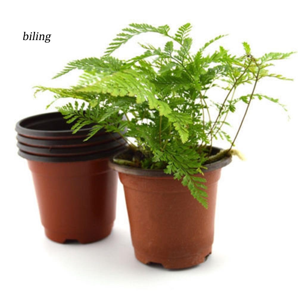 ✿Yyp Yyp✿Set 10 Chậu Hoa Tròn Nhỏ Bằng Nhựa Trang Trí Nhà Cửa