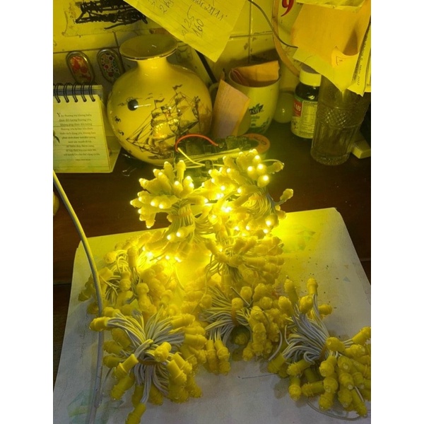 LED đúc F5, Led Hạt đế 9mm chống nước điện áp 12V,trang trí nhà,cuốn cây, sân vườn, trang trí ngoài trời