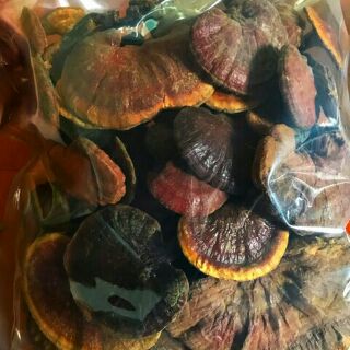 1kg nấm lim xanh