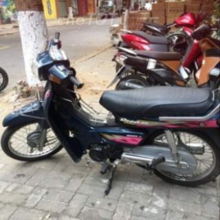Đèn hậu dream lùn có bóng