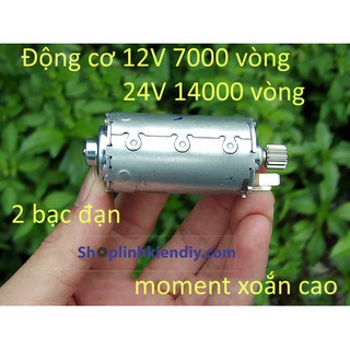 motor mini 12V 8000 vòng