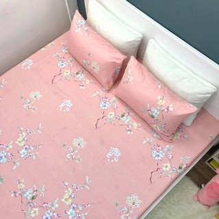 Set Chăn Ga Gối Cotton Lụa !! (Ảnh Chụp Thật)