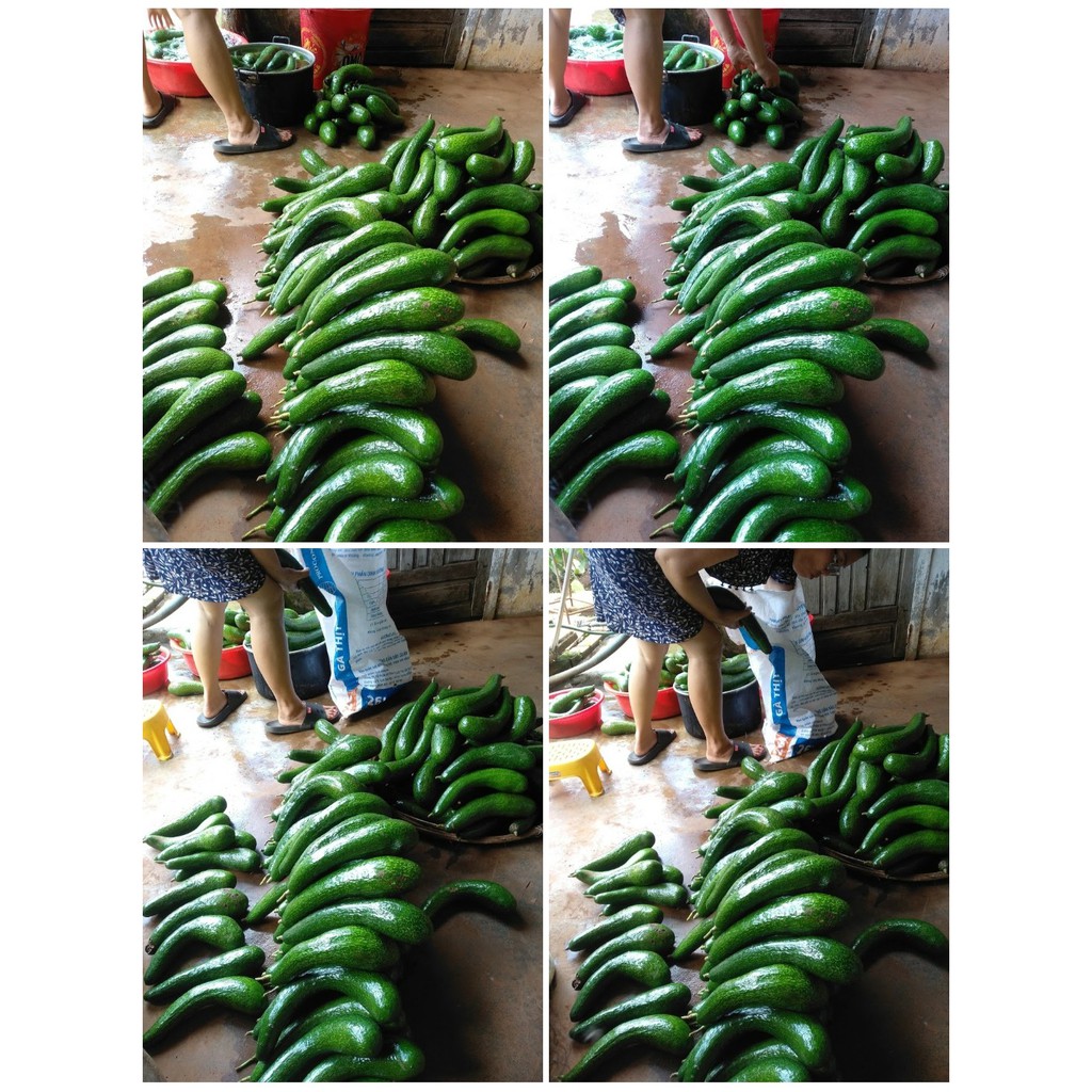 03kg bơ 034 loại 1 ngon nhất (2-3 quả 1kg) 25000₫/kg