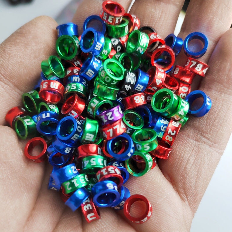 10pcs Vòng đeo chân chim 4mm nhiều màu sắc, vòng chân vẹt dồ chơi làm đẹp