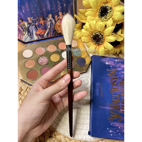 Cọ quạt hight light bắt sáng lông tự nhiên siêu mềm