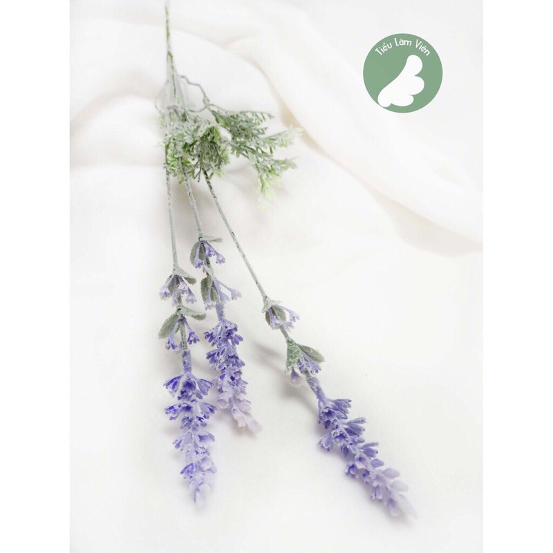 Cành hoa  oải hương-Lavender loại phủ phấn cao cấp