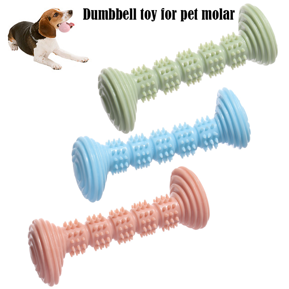 Đồ Chơi Ngậm Cắn Hình Quả Tạ Nhiều Màu Cho Thú Cưng