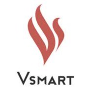Tổng kho Vsmart