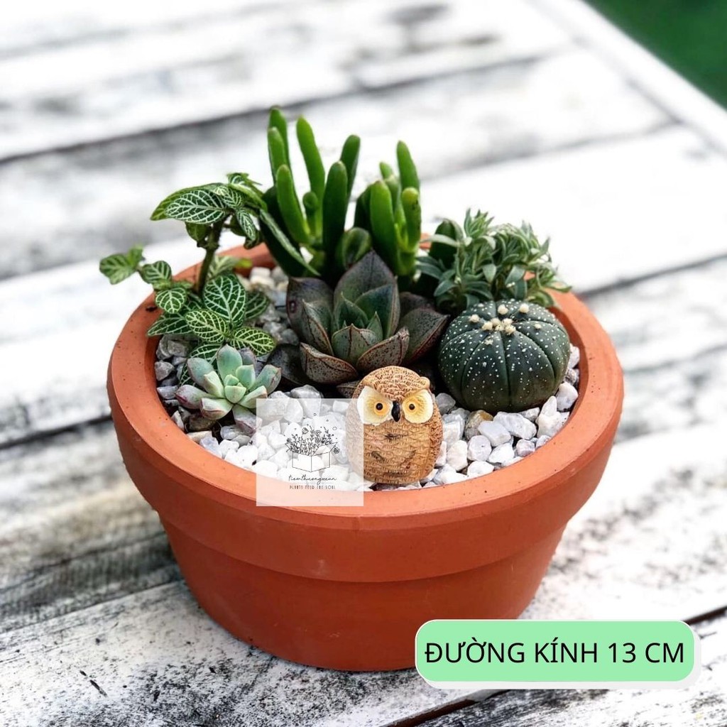 Chậu tiểu cảnh - Đất nung - Đường kính 13 cm - Sen đá xương rồng - Tiệm Thường Xuân