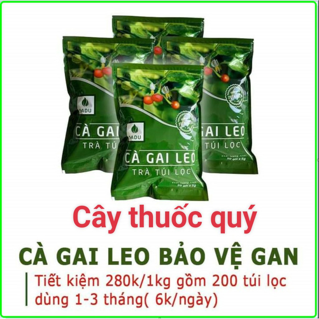 4 Bịch trà Cà Gai Leo Sadu (5g x 200 túi lọc)