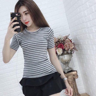 Sale áo thun sọc tay ngắn