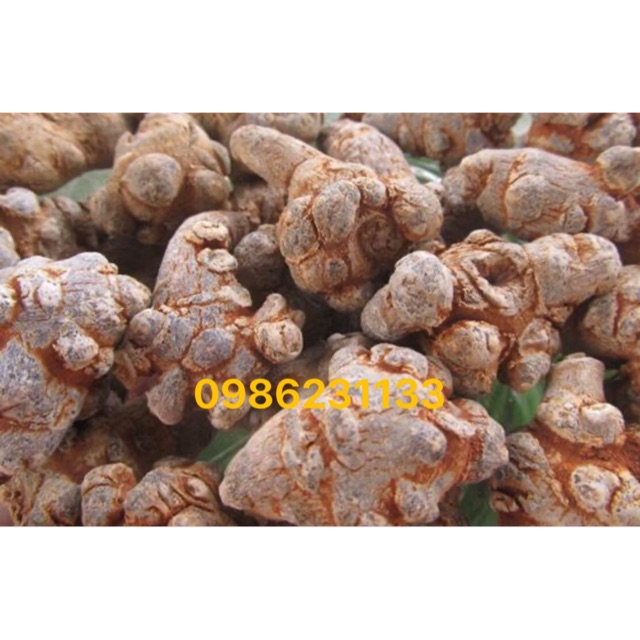 Tam thất bắc hàng xịn