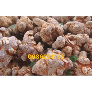 Tam thất bắc hàng xịn