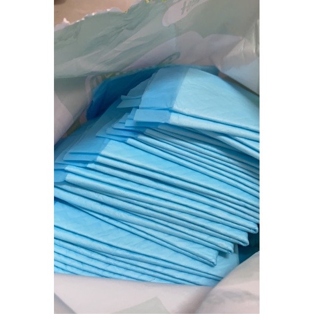 100(❁´◡`❁)Miếng tả lót cho chó mèo hiệu CoCoyo size 33*45 Độ thấm hút cao lên đến