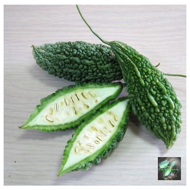 Hạt giống khổ qua trái xanh (mướp đắng), đóng gói 10 hạt