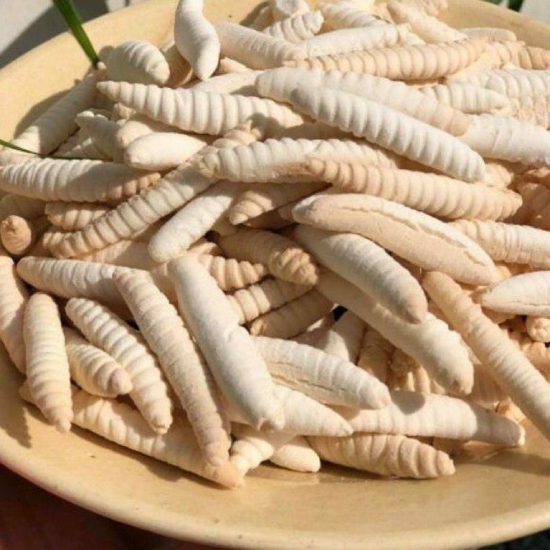 BÁNH MEN SÂU SỮA