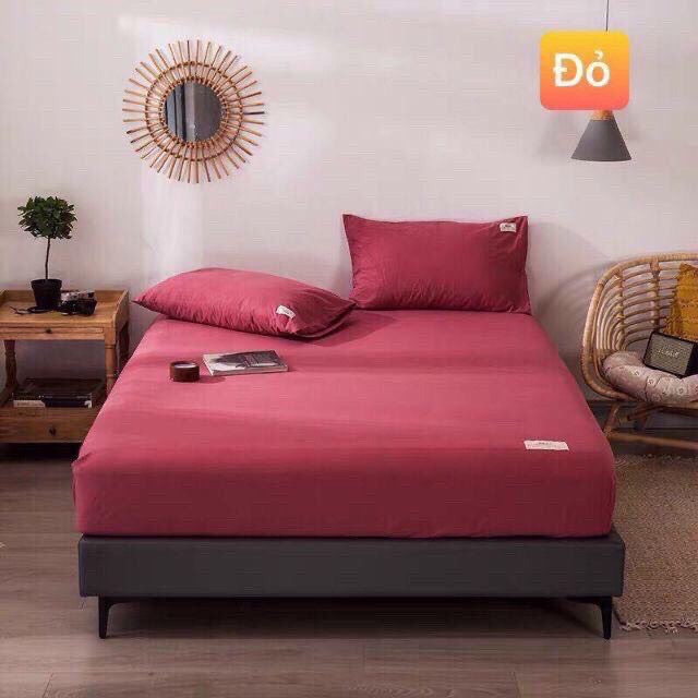 Sét ga gối cotton Tici phong cách hàn Quốc loại 1( không kèm ruột )