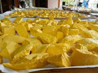 Tinh bột nghệ