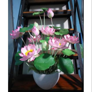 Hoa đất sét - Hoa Sen bằng đất sét