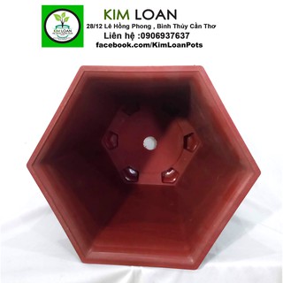 Combo 4 chậu lục giác đỏ 32x32cm