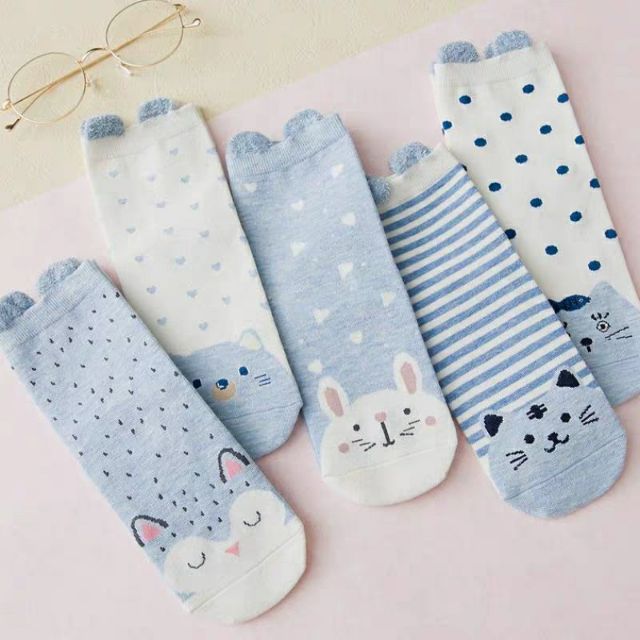 tất hàn quốc cổ cao cho nữ