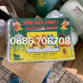 Combo 10 miếng keo chuột Đại Lộc