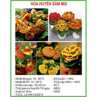 Hạt Giống Hoa huyền sâm (Mix đỏ vàng) 5 Hạt/ Gói