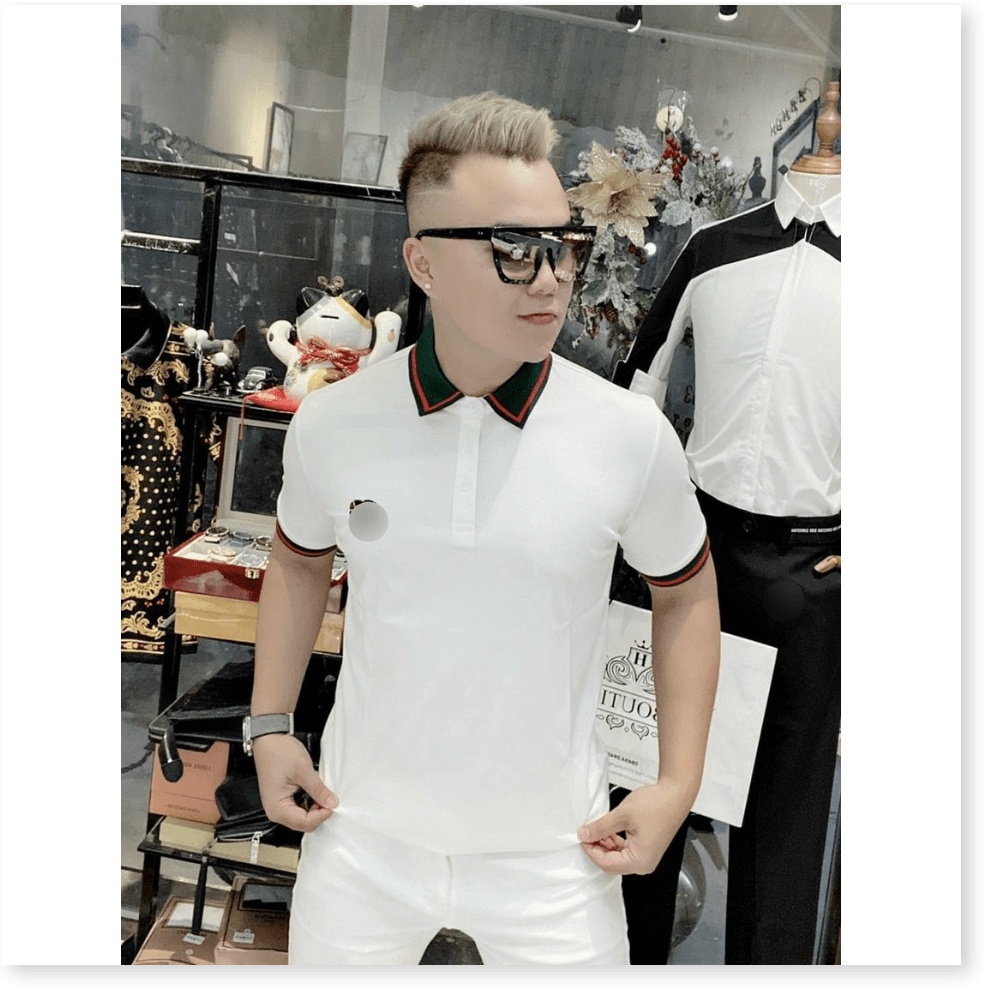 ÁO THUN NAM TAY NGẮN CHUẨN BODY TÔN DÁNG CHO AE KOKO MI