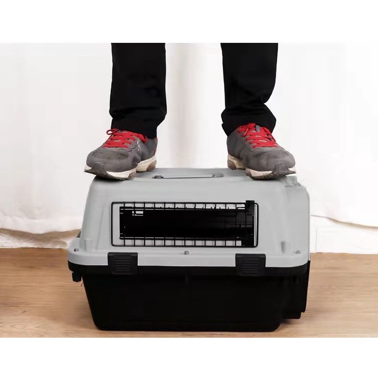 Lồng Hàng Không 58x37x35cm, Lồng Vận Chuyển Thú Cưng Đi Xa Tiện Lợi Dành Cho Thú Dưới 10kg