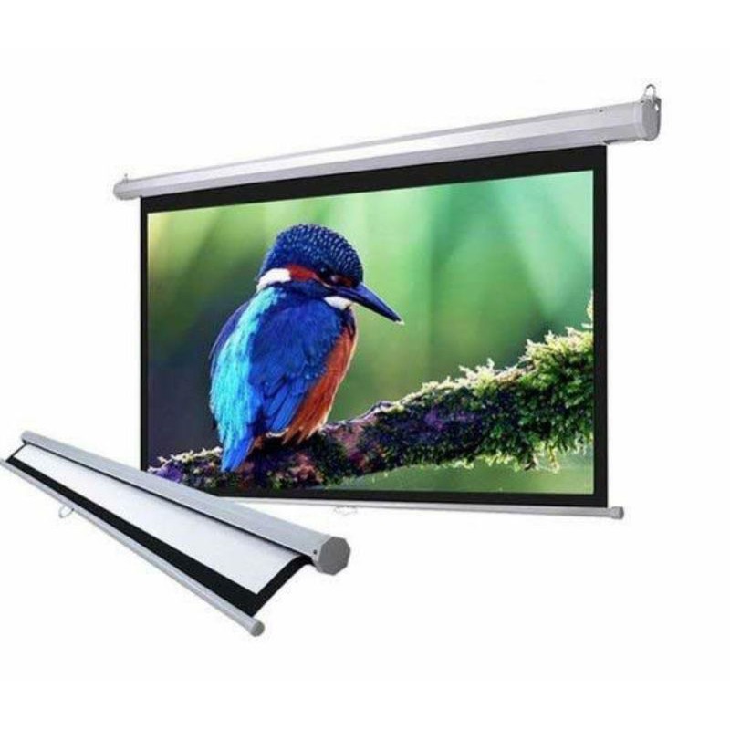 Màn chiếu kéo tay treo tường 100inch