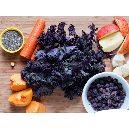 Hạt giống cải kale đỏ, cải xoăn đỏ gói 100 hạt (SIÊU HOT)