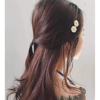 Kẹp tóc hoa cúc