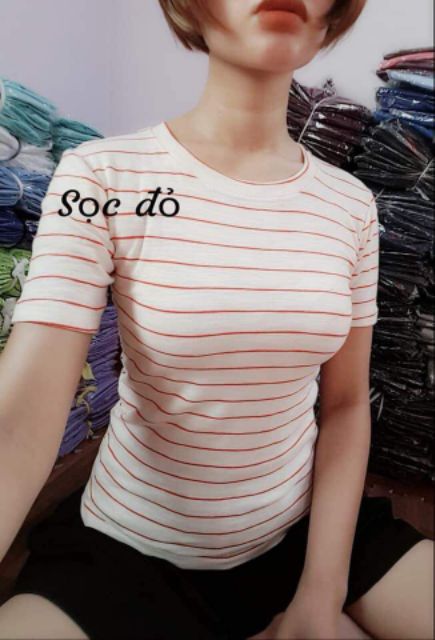 Áo thun nữ body sọc kẻ đang đẹp, chất thun gân tăm mềm mịn