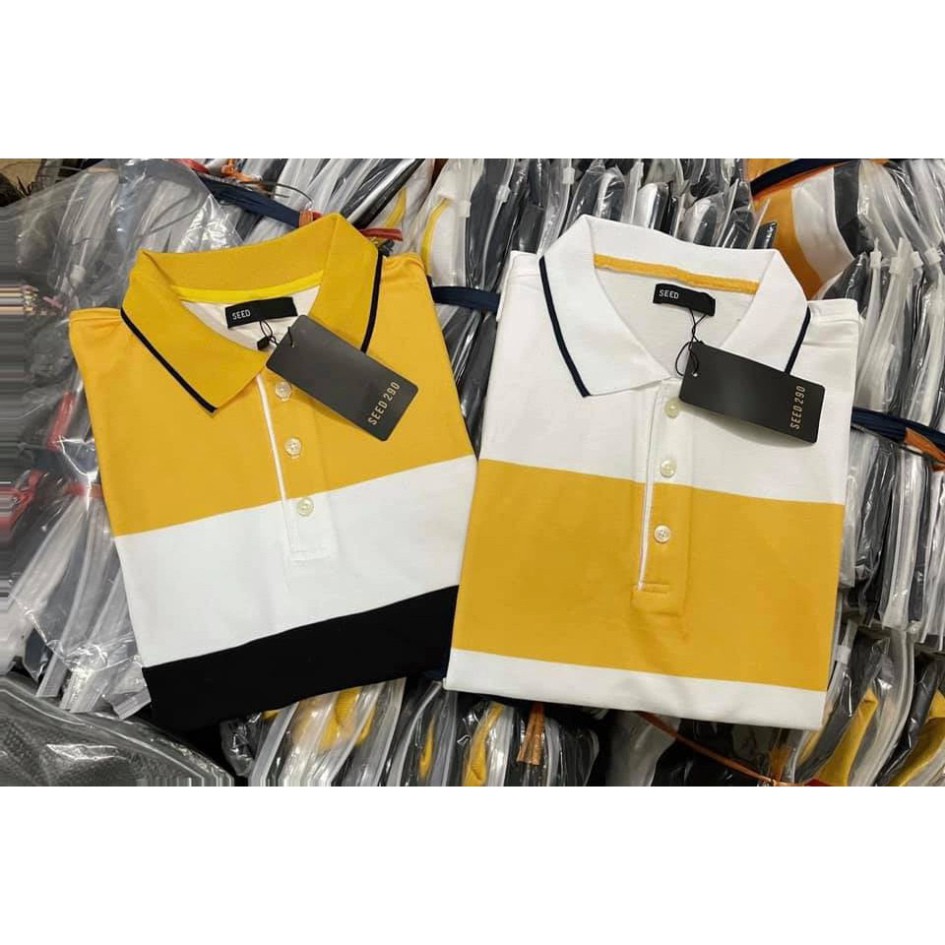 (Si Tan Goc) Áo Cổ Đức Phối Trắng Hàng Xuất Dư Nam | BigBuy360 - bigbuy360.vn