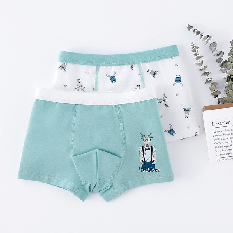 Bộ 2 Quần Lót Boxer Cotton In Họa Tiết Hoạt Hình Cho Bé Trai