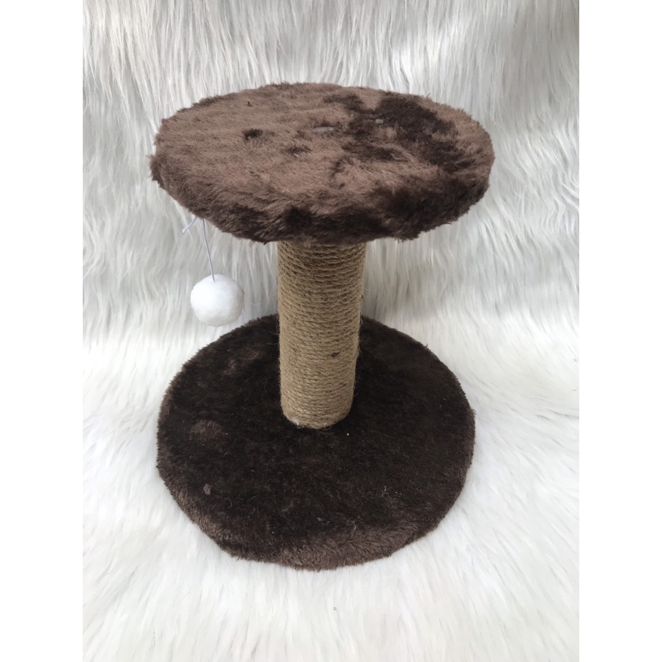 Đồ chơi cho mèo con kích thước 24cmx18cmx14 cm