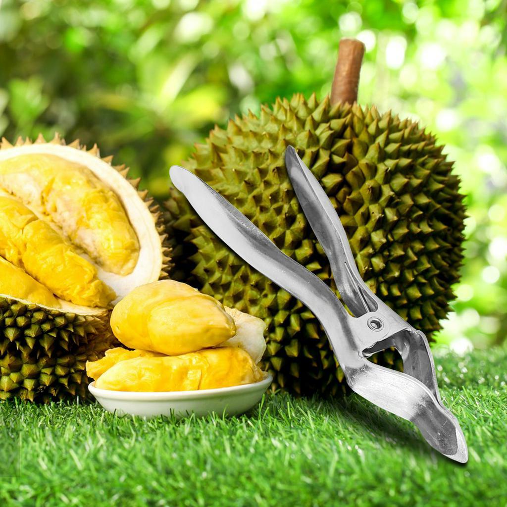 Dụng Cụ Kẹp Mở Trái Sầu Riêng Bằng Thép Không Gỉ Dụng cụ kìm bóc vỏ sầu riêng kẹp sầu riêng