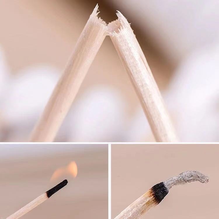 Tăm Bông Ngoáy Tai Người Lớn 100 Que Thân Gỗ Thân Thiện Môi Trường