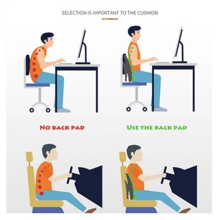Đệm Tựa Lưng Back Cushion 