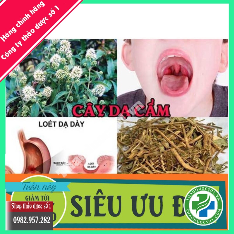 Cây dạ cẩm thượng hạng 1kg
