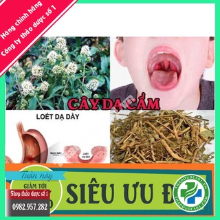 Cây dạ cẩm thượng hạng 1kg