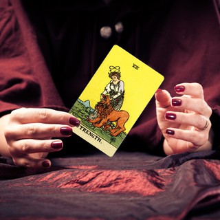 Bộ Bài Tarot Độc Đáo Thú Vị