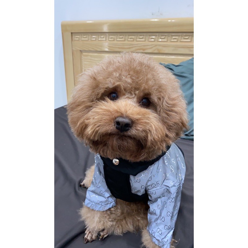 ÁO KHOÁC PHAO GUCCI PHẢN QUANG