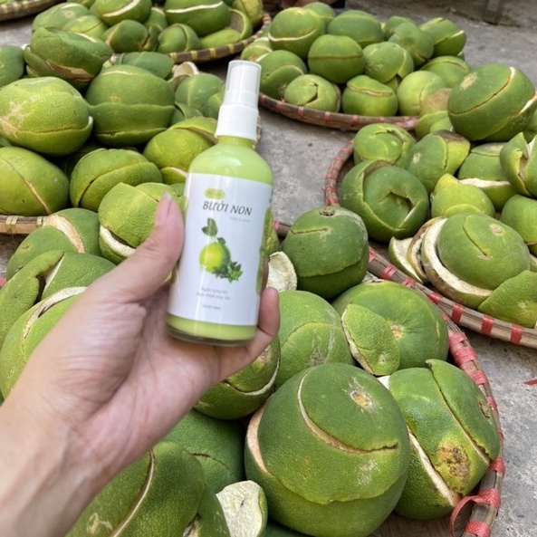 Dầu Gội Bưởi.Bồ Kết.Gừng - Xịt Mọc Tóc Bưởi - Lược Phủ Bạc/Nâu - Handmade 100% Thiên Nhiên