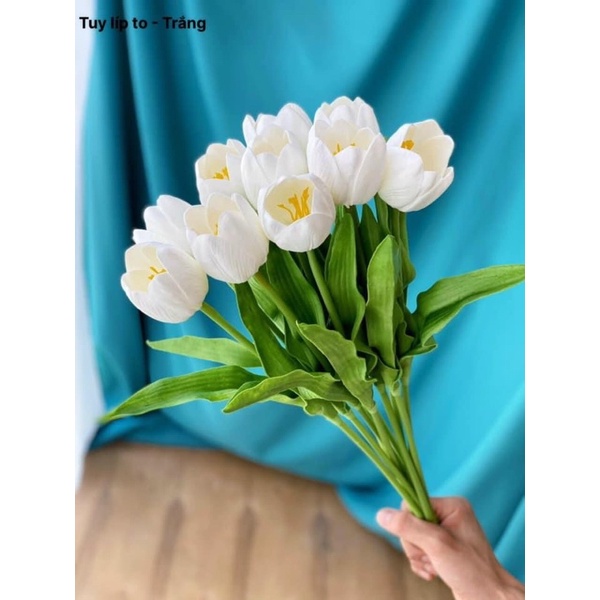 Hoa Tuy Líp To Cành Dài 50cm