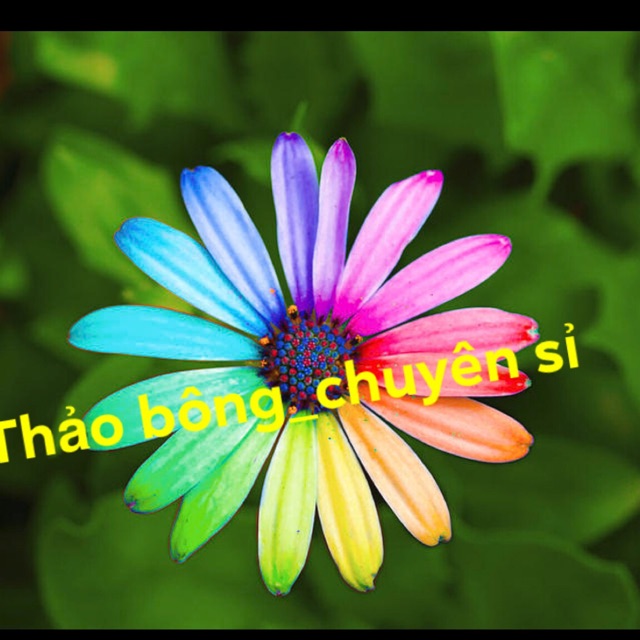 thaobong_chuyensi, Cửa hàng trực tuyến | BigBuy360 - bigbuy360.vn