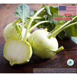 100gr 20k.hạt hạt giống su hào trắng usa