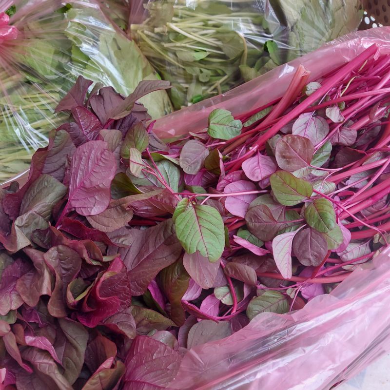 Rau Dền Vườn Trồng Sạch 1kg Q12 Giao HCM | BigBuy360 - bigbuy360.vn